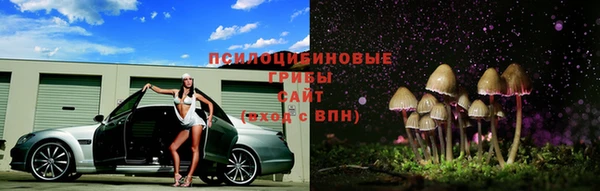 прущий лед Михайлов