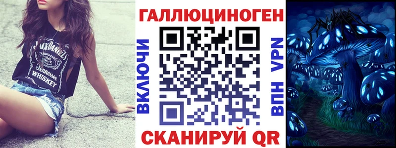 Псилоцибиновые грибы Psilocybine cubensis Партизанск